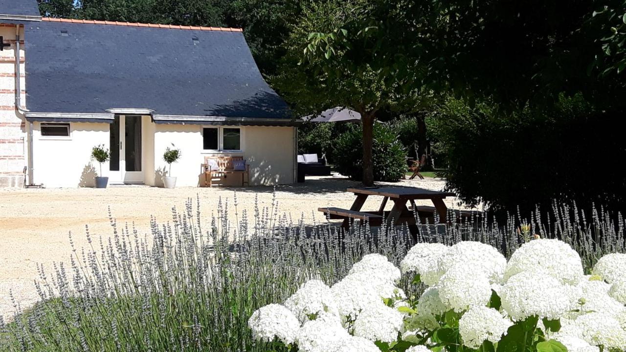 Chateau La Mothaye - Self Catering Apartments With Pool In The Loire Valley Les Bois-d'Anjou ภายนอก รูปภาพ