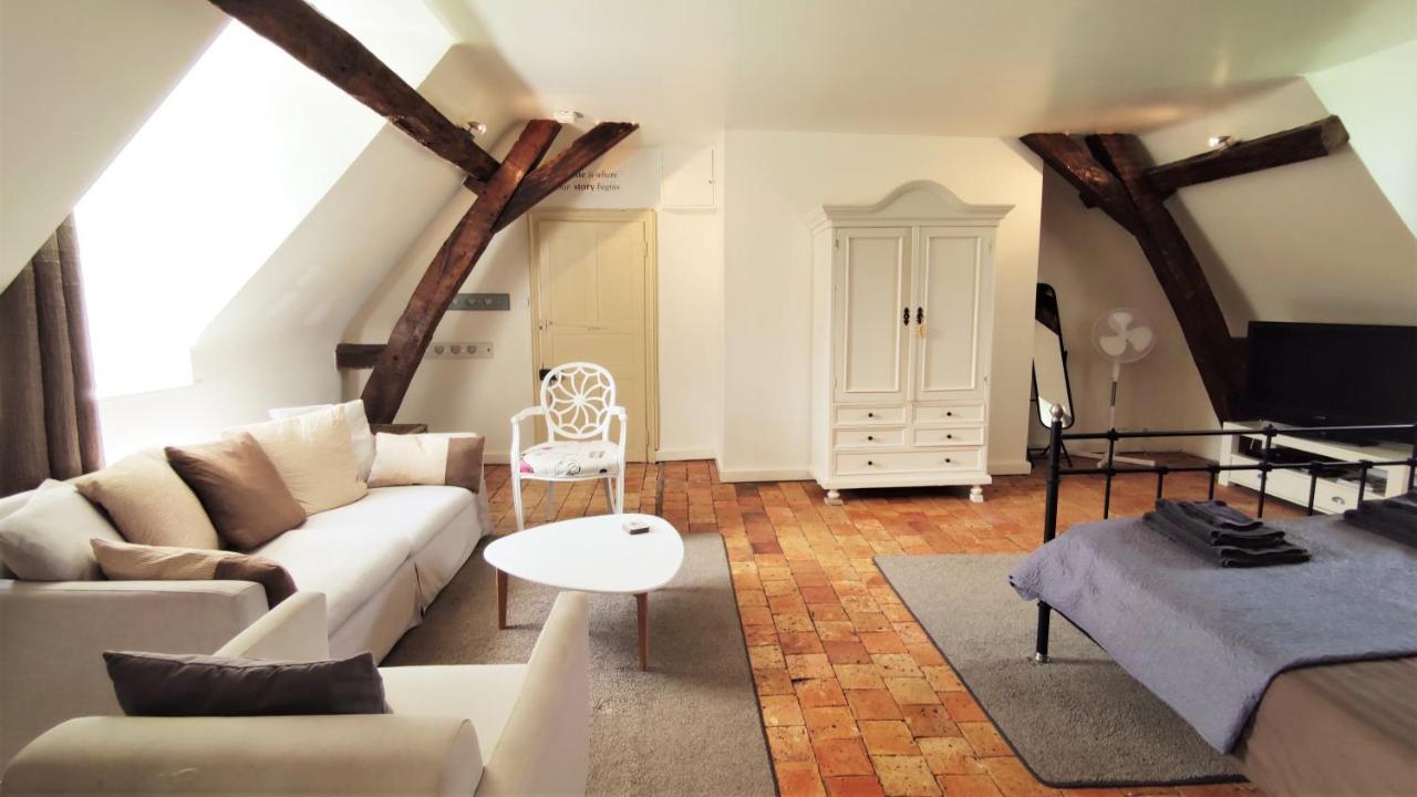 Chateau La Mothaye - Self Catering Apartments With Pool In The Loire Valley Les Bois-d'Anjou ภายนอก รูปภาพ