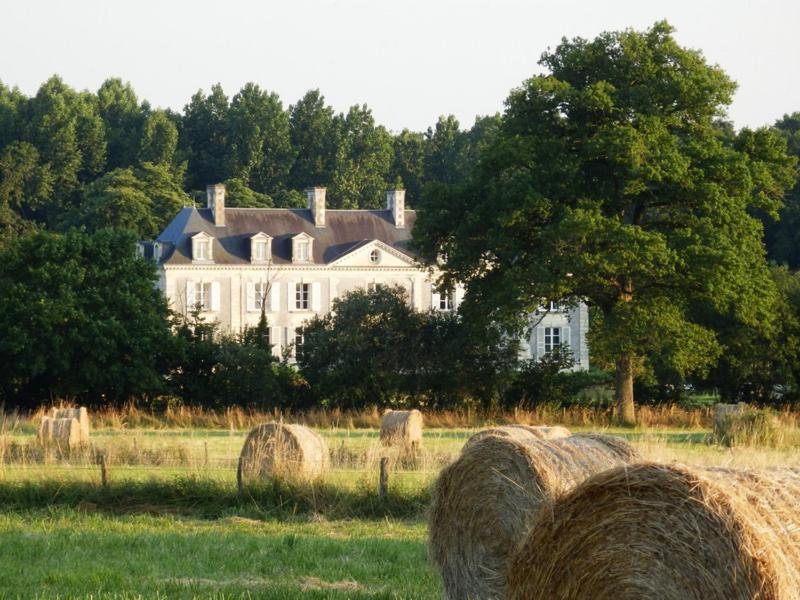 Chateau La Mothaye - Self Catering Apartments With Pool In The Loire Valley Les Bois-d'Anjou ห้อง รูปภาพ